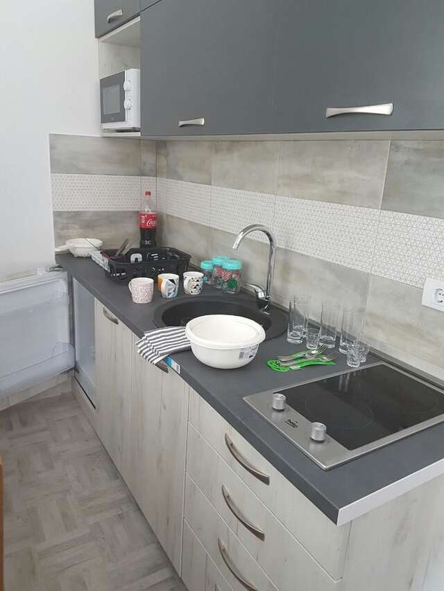 Апартаменты Njeguši Apartman 1 Цетине-16